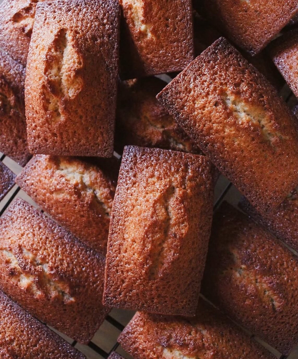 画像1577