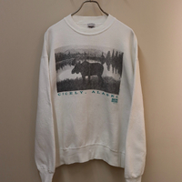 画像1985