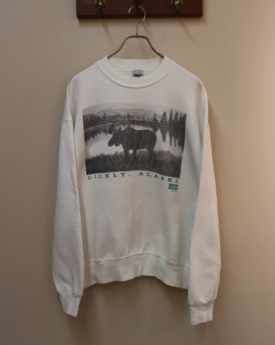 画像1985